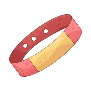 Child Wristband for Family Fest